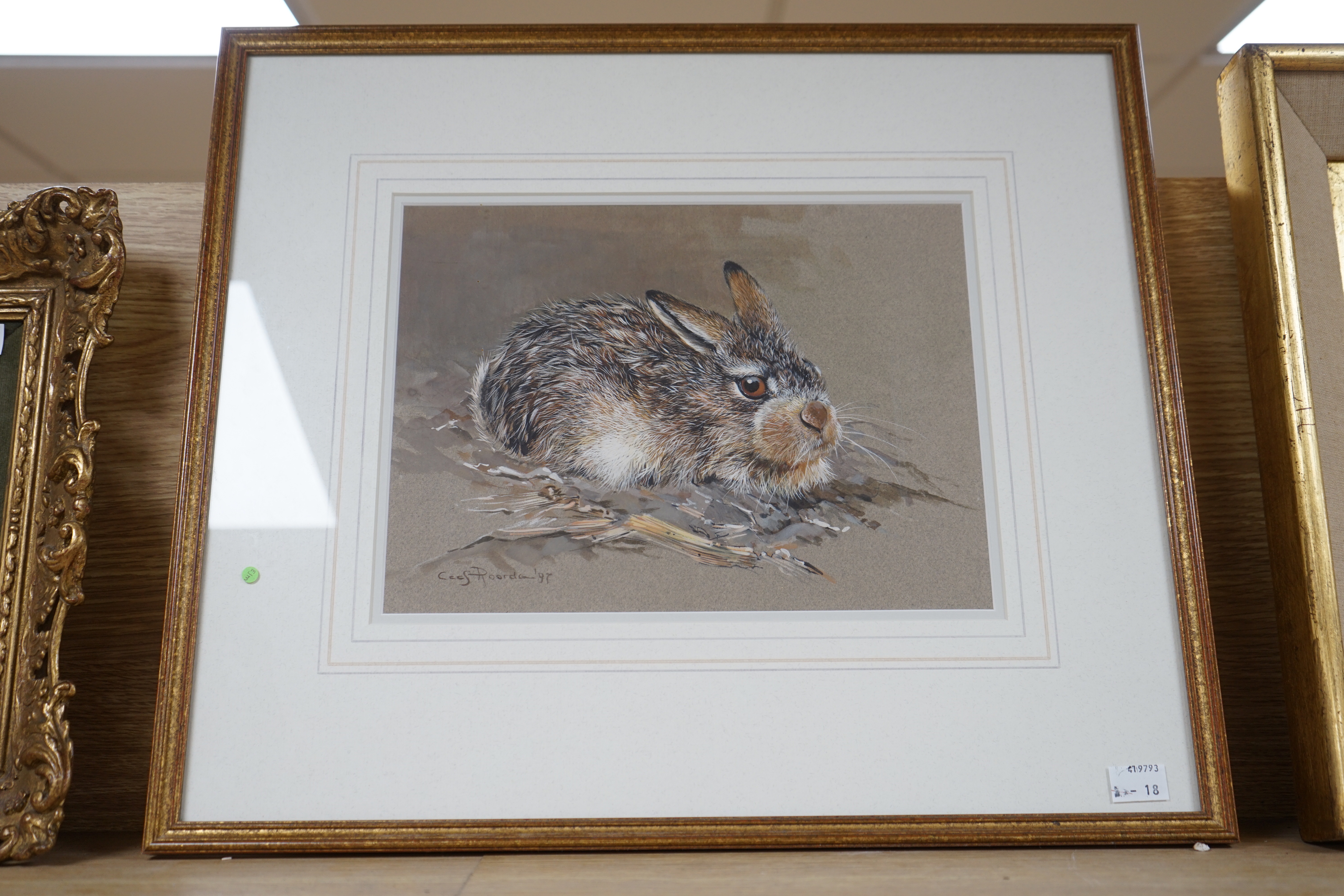 Cees Roorda (Dutch, b. 1942-), heightened watercolour, 'A young hare', signed and dated ‘97, 29 x 21cms